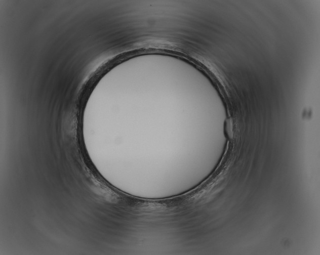 X0000089421115200707131816