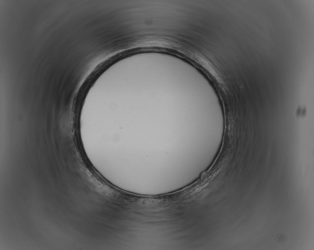 X0000089421116200707131816