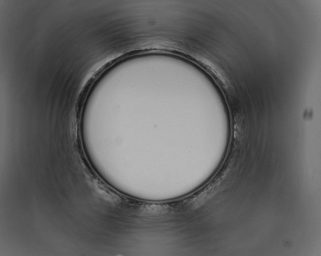 X0000089421117200707131816