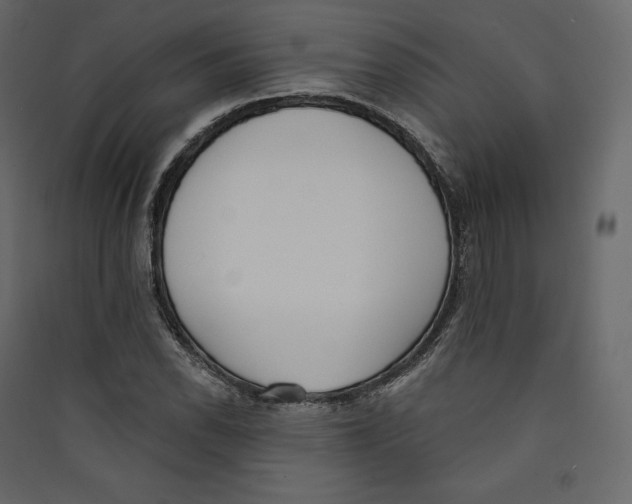 X0000089421118200707131816