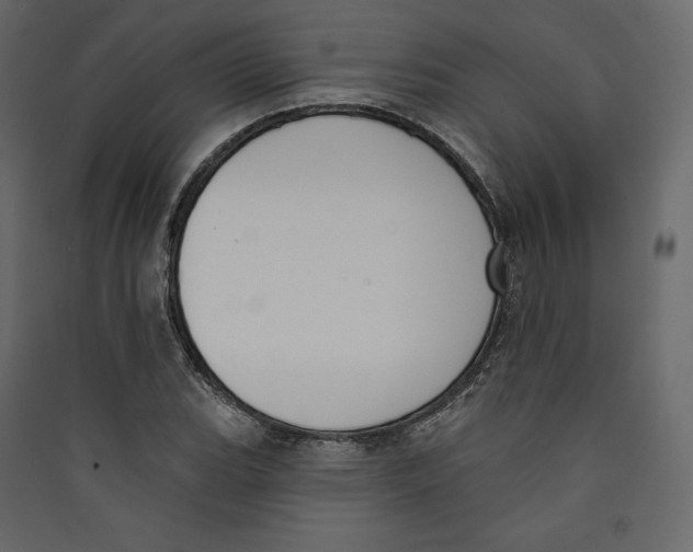 X0000089421119200707131816