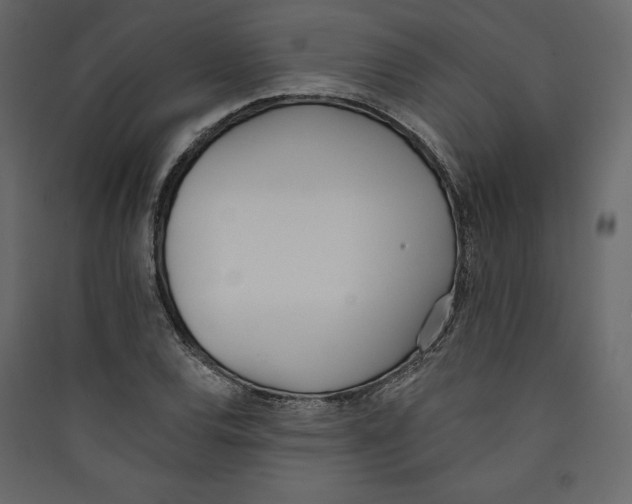 X0000089421120200707131816