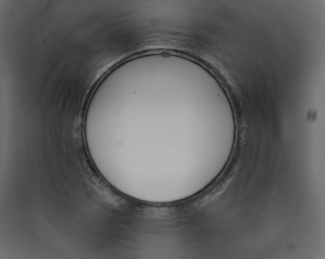 X0000089421121200707131816