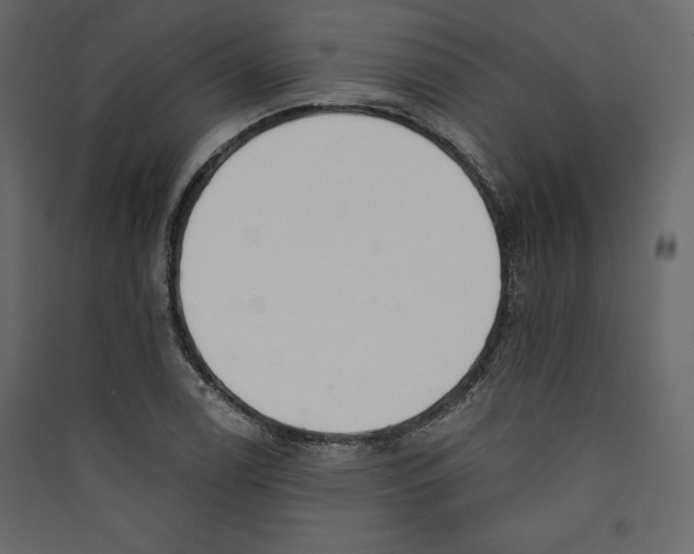 X0000089421122200707131816