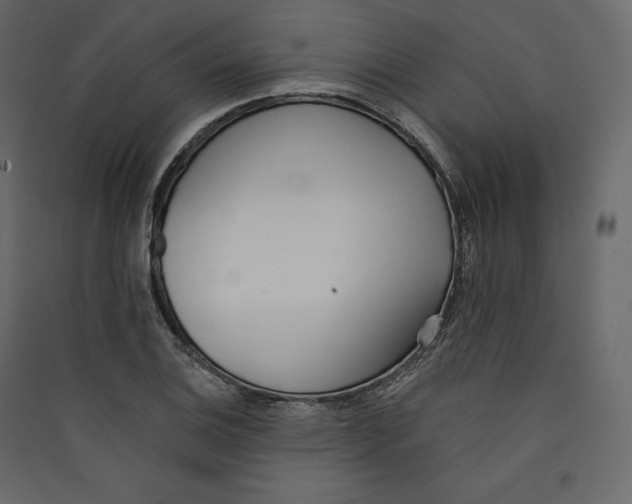 X0000089421124200707131816