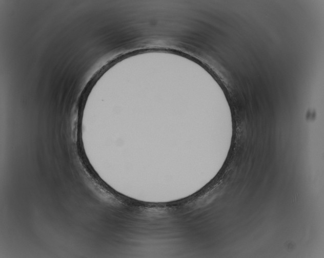 X0000089421126200707131816