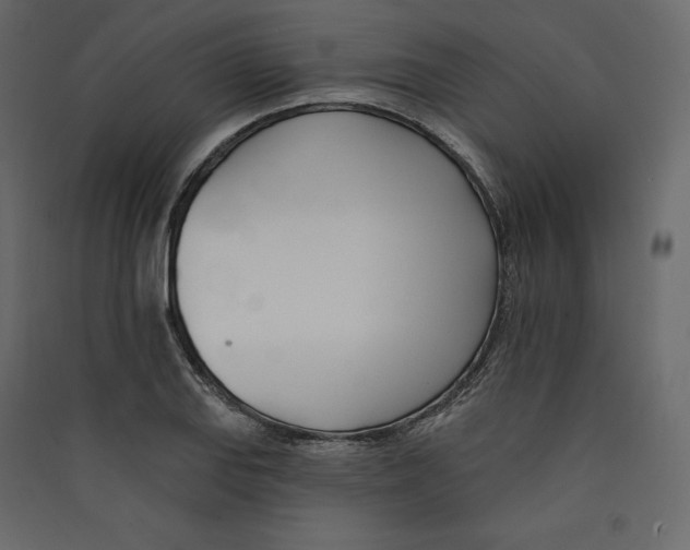 X0000089421127200707131816