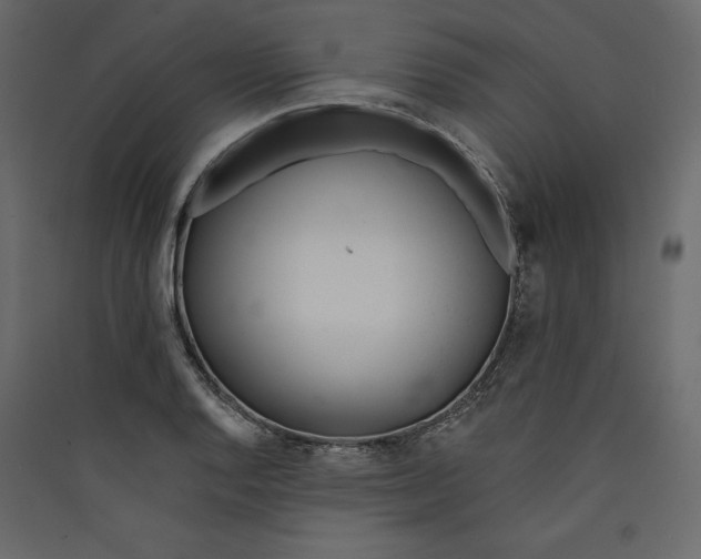 X0000089421128200707131816