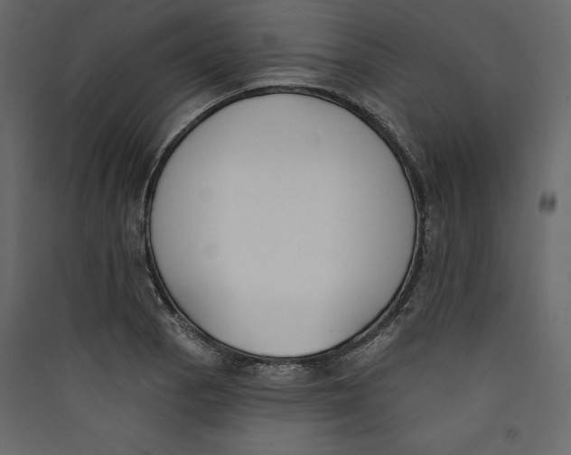 X0000089421129200707131816