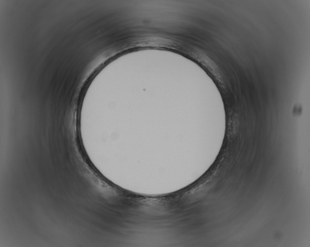 X0000089421130200707131816