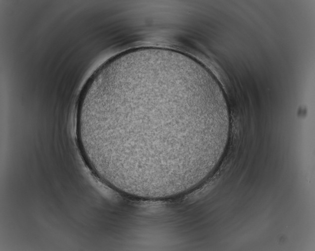 X0000089421131200707131816