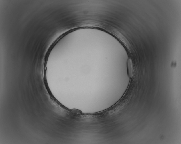 X0000089421132200707131816