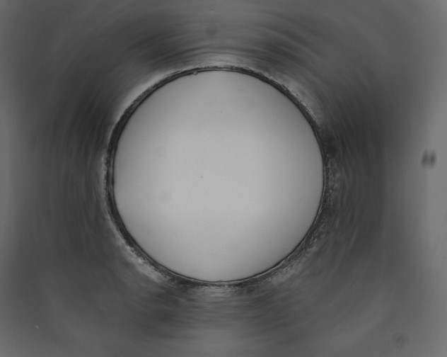 X0000089421134200707131816