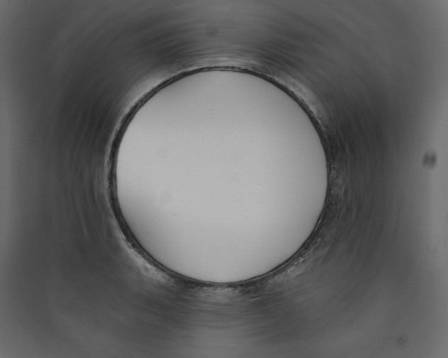 X0000089421135200707131816
