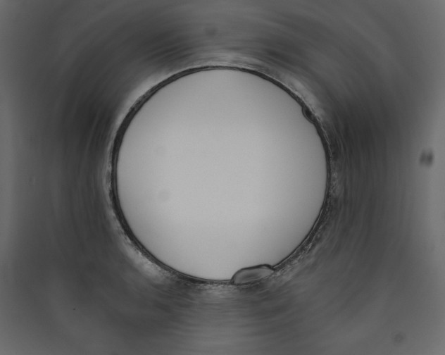 X0000089421136200707131816