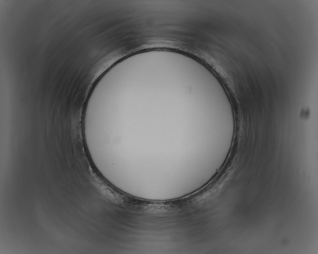 X0000089421137200707131816