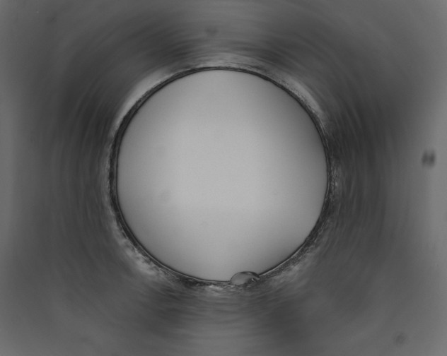 X0000089421138200707131816