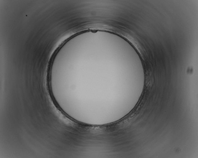 X0000089421139200707131816
