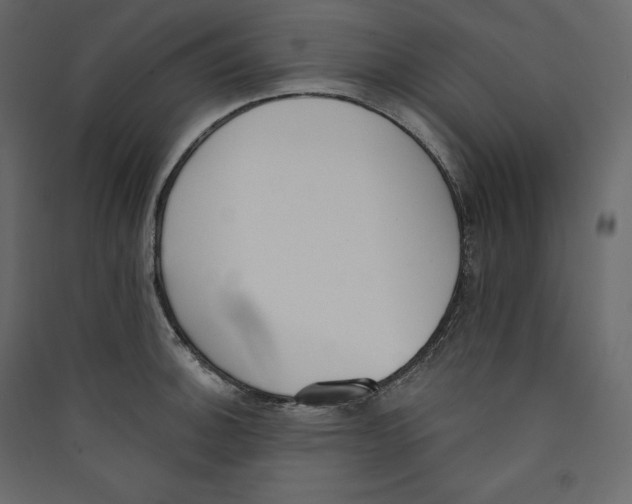 X0000089421140200707131816