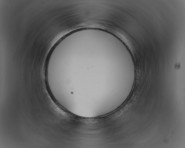 X0000089421141200707131816