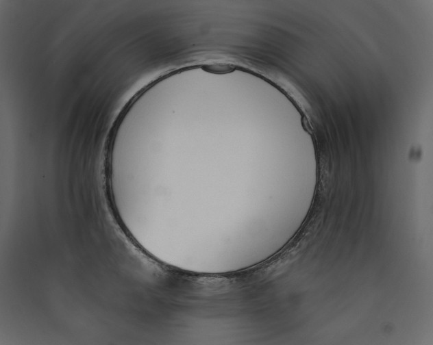 X0000089421142200707131816