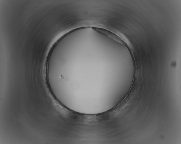 X0000089421144200707131816