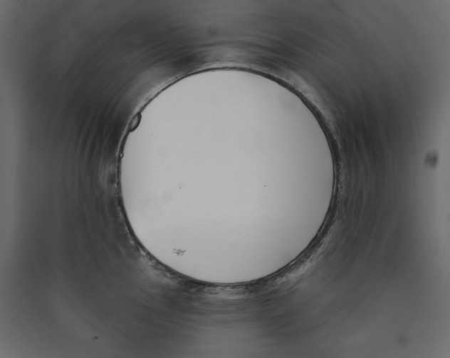 X0000089421145200707131816