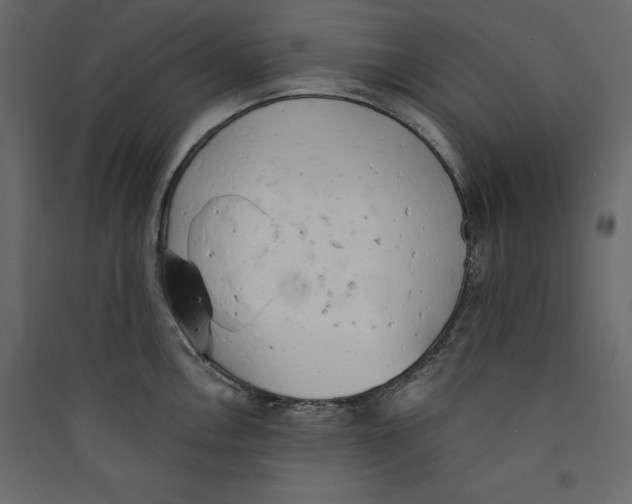 X0000089421146200707131816