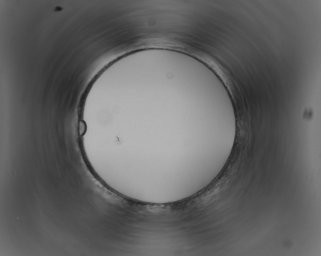 X0000089421147200707131817