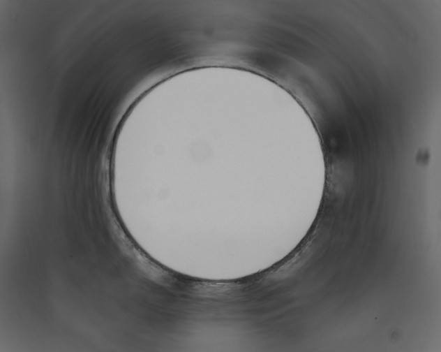 X0000089421150200707131817