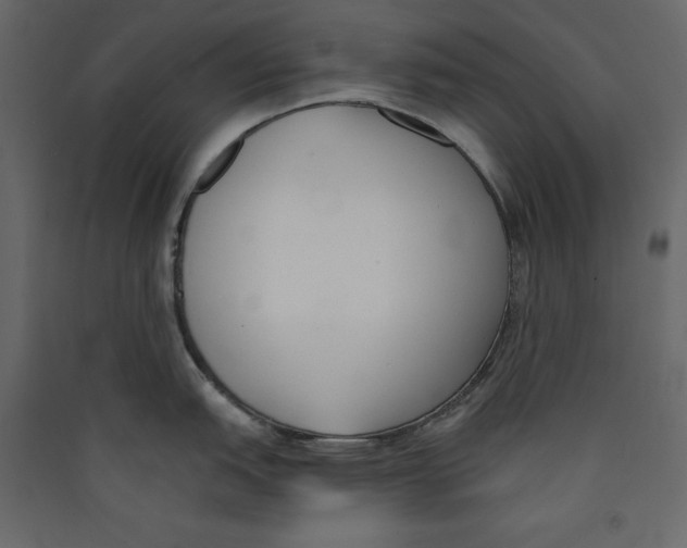 X0000089421151200707131817