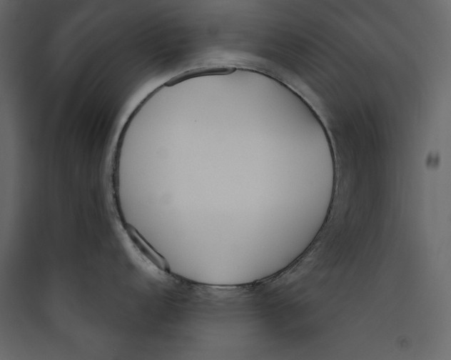 X0000089421152200707131817