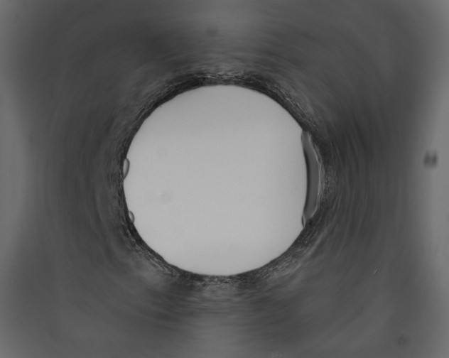 X0000089421153200707131816