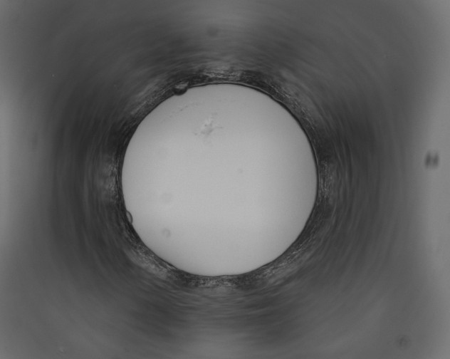 X0000089421154200707131816