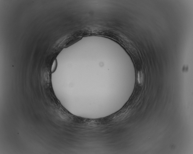 X0000089421155200707131816