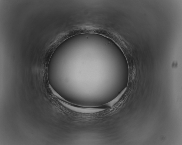 X0000089421157200707131816
