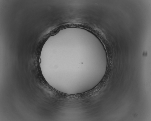 X0000089421159200707131816