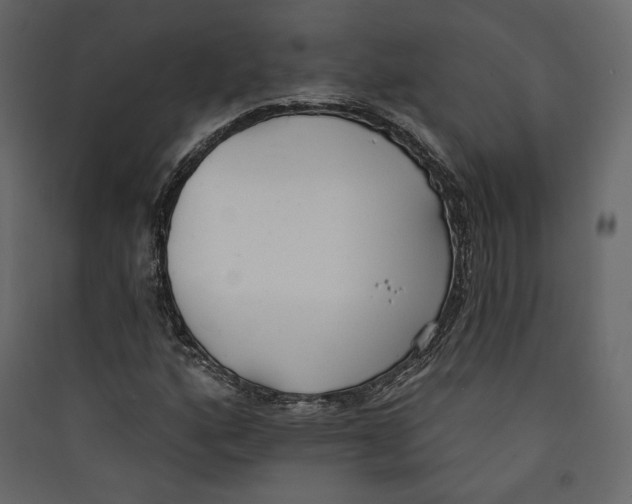 X0000089421160200707131816