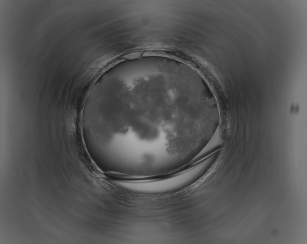 X0000089421161200707131816