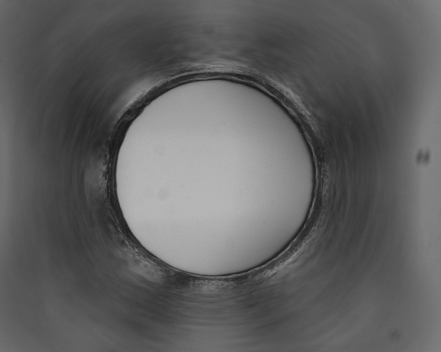X0000089421163200707131816