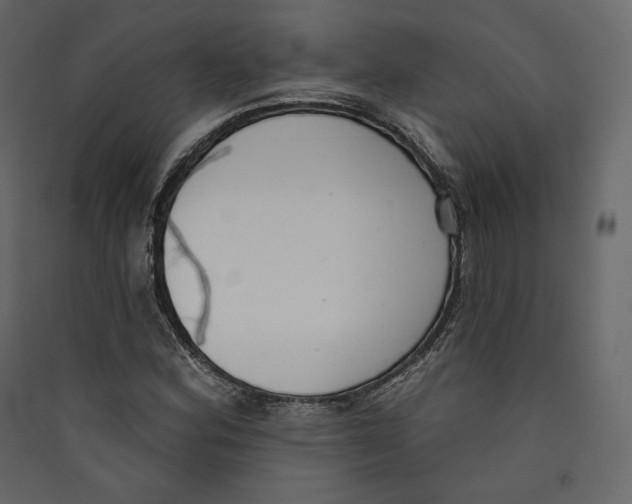 X0000089421164200707131816
