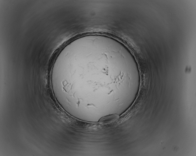 X0000089421165200707131816