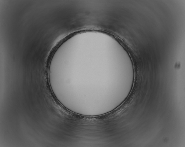 X0000089421168200707131816