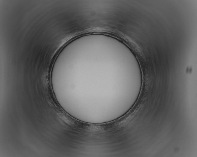 X0000089421170200707131816