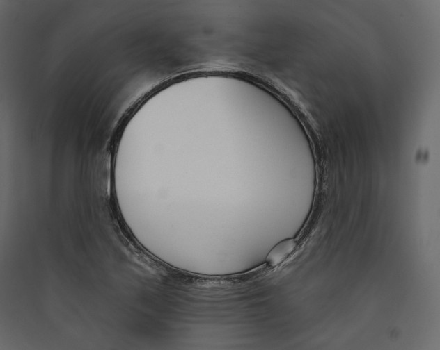 X0000089421171200707131816