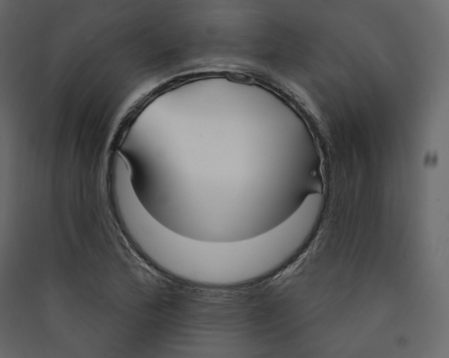 X0000089421172200707131816