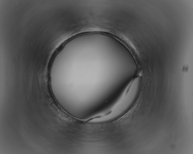 X0000089421173200707131816