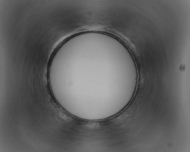 X0000089421174200707131816