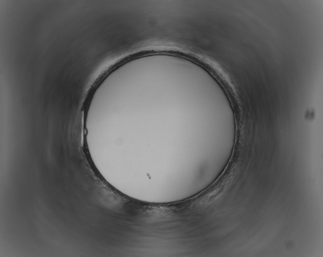 X0000089421175200707131816