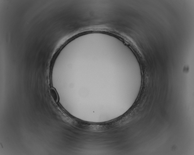 X0000089421176200707131816